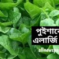 পুইশাকে-কি-এলার্জি-আছে