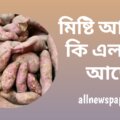 মিষ্টি-আলুতে-কি-এলার্জি-আছে