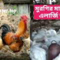 মুরগির-মাংসে-কি-এলার্জি-আছে