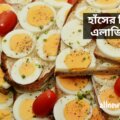 হাঁসের-ডিমে-কি-এলার্জি-আছে