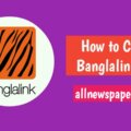 Banglalink-MB-Check-Code