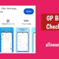 GP-Balance-Check-Code